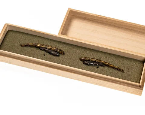Detalle de Menuki · Ko-kinkō