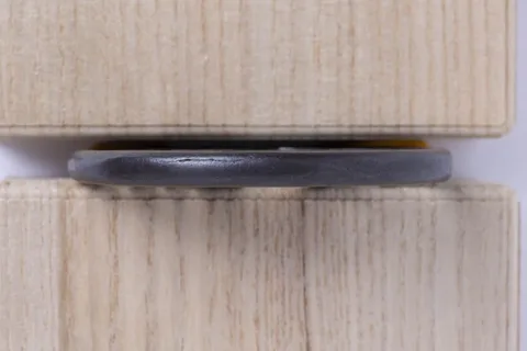 Detalle de Tsuba · Akasaka Tadamasa (2.ª generación)