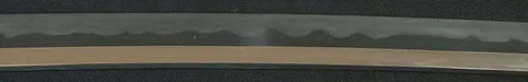 Hoja de Masao