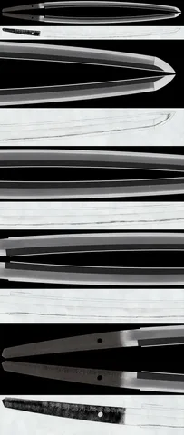 Montura de Hizen Ōmi Daijō Fujiwara Tadahiro