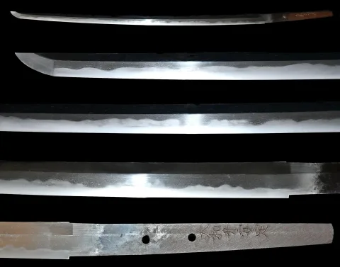 Espiga de Yamato no Kami Antei