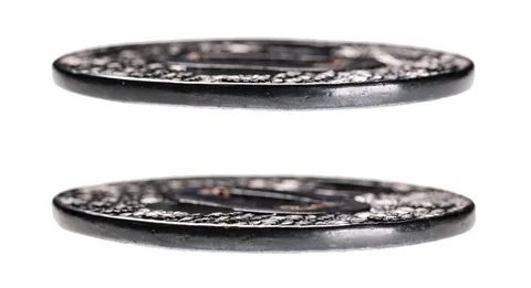Detalle de Tsuba · Bushū