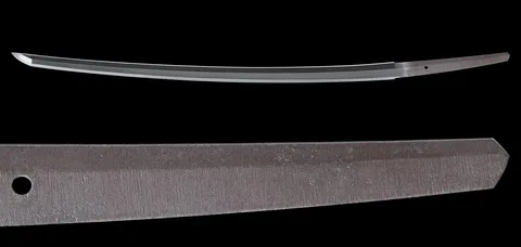 Espiga de Ōmi Daijō Fujiwara Tadahiro