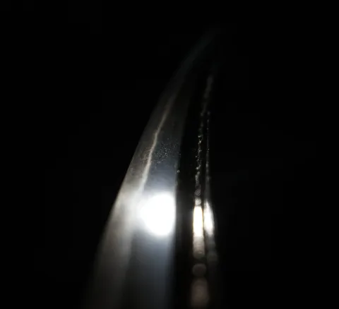 Dettaglio di Ōmi no Kami Tadayoshi, 5ª generazione