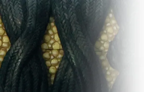 Detalle de Esshū Tsuruga-jū Kaneshige