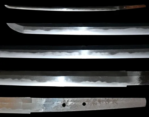 Espiga de Yamato no Kami Antei