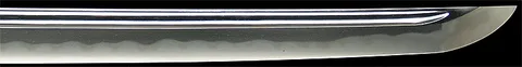 Dettaglio di Fujita Kengo Nagahiro