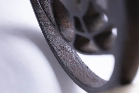 Detalle de Tsuba · Akasaka Tadamasa (2.ª generación)