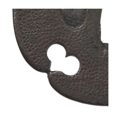 Detalle de Tsuba · Ko-Kacchūshi