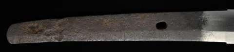 Hoja de Inshū-jū Kagenaga