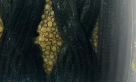 Detalle de Esshū Tsuruga-jū Kaneshige