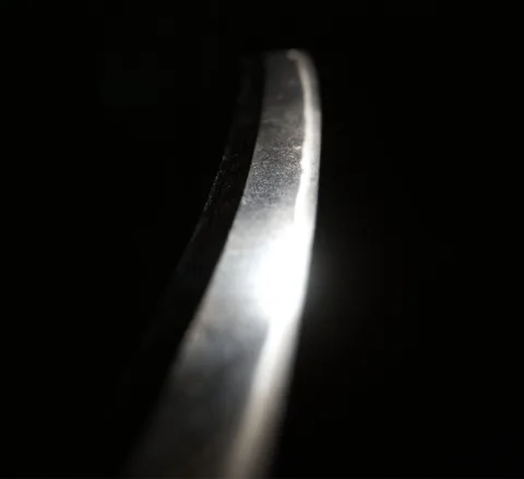 Detalle de Ōmi Daijō Fujiwara Tadahiro