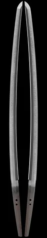 Hoja de Kunimune