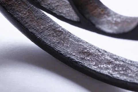 Detalle de Tsuba · Akasaka Tadamasa (2.ª generación)