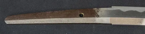 Espiga de Tokiyoshi