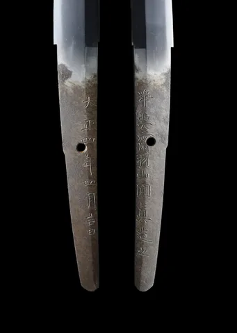 Espiga de Jōunsai Hayama Enshin