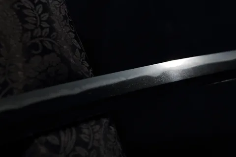 Detail von Fujishima Tomoshige