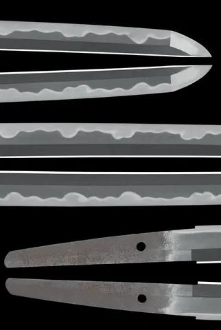 Espiga de Shimousadaijo Fujiwara Kanemasa