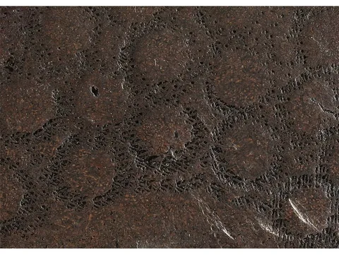Dettaglio di Tsuba · Ko-Kinkō