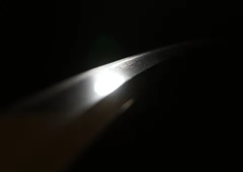 Detalle de Ōmi Daijō Fujiwara Tadahiro