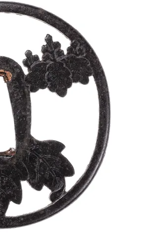 Detalle de Tsuba · escuela Nishigaki (Higo)
