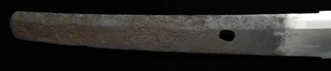 Hoja de Inshū-jū Kagenaga