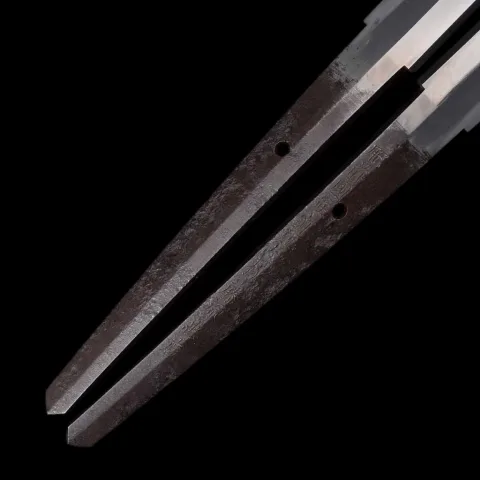 Espiga de Ōmi Daijō Fujiwara Tadahiro