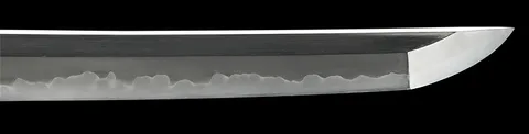 Hoja de Hamabe Minryūshi Toshizane