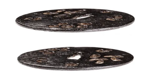 Detalle de Tsuba · Ko-Kacchūshi