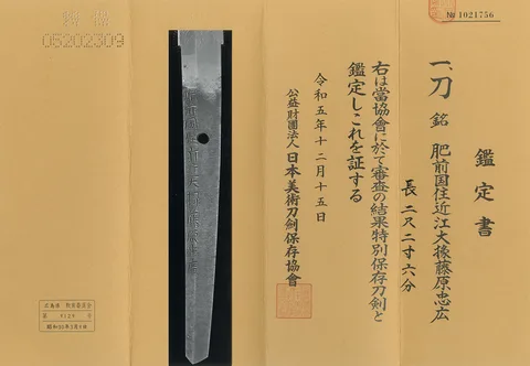 Detalle de Hizen Ōmi Daijō Fujiwara Tadahiro
