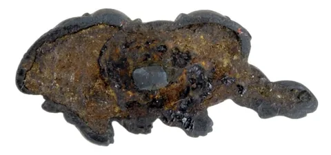 Dettaglio di Menuki · Ko-Gotō