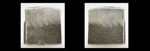 Hoja de Fuyuhiro