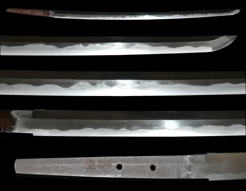 Espiga de Yamato no Kami Antei