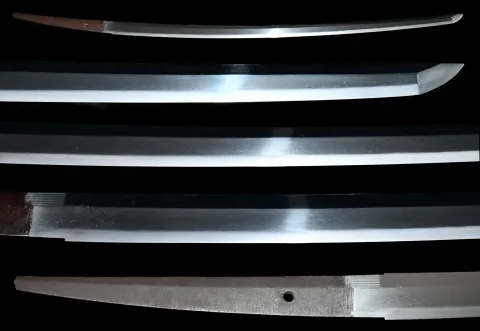 Espiga de Tennenshi Masahira