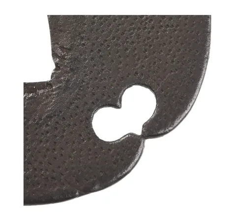Detalle de Tsuba · Ko-Kacchūshi