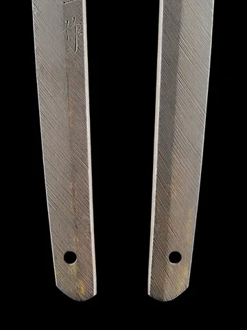 Espiga de Tenryūshi Tachibana Hisakazu