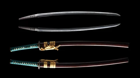 Montura de Magoroku Kanemoto