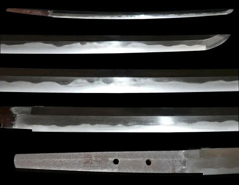 Espiga de Yamato no Kami Antei