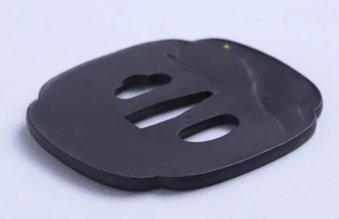 Detalle de Tsuba · Tokuoki