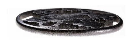 Detalle de Tsuba · Nishigaki Kanpei
