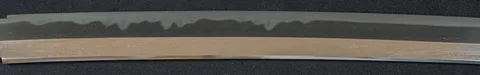 Hoja de Tokiyoshi